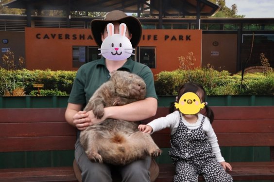 Caversham Wildlife Parkでウォンバットと記念撮影