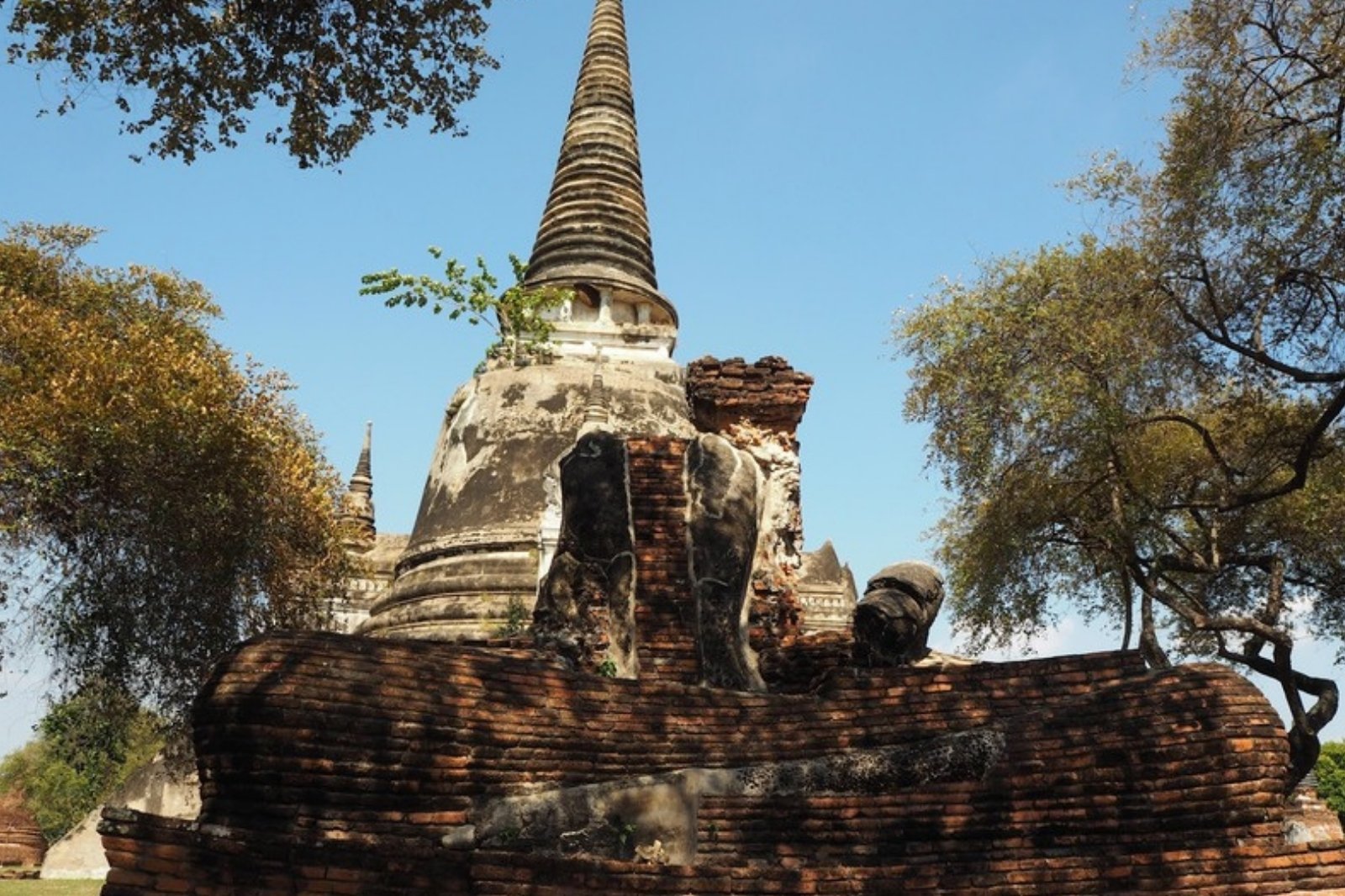 青空の下にそびえるアユタヤの古代寺院の巨大な仏塔