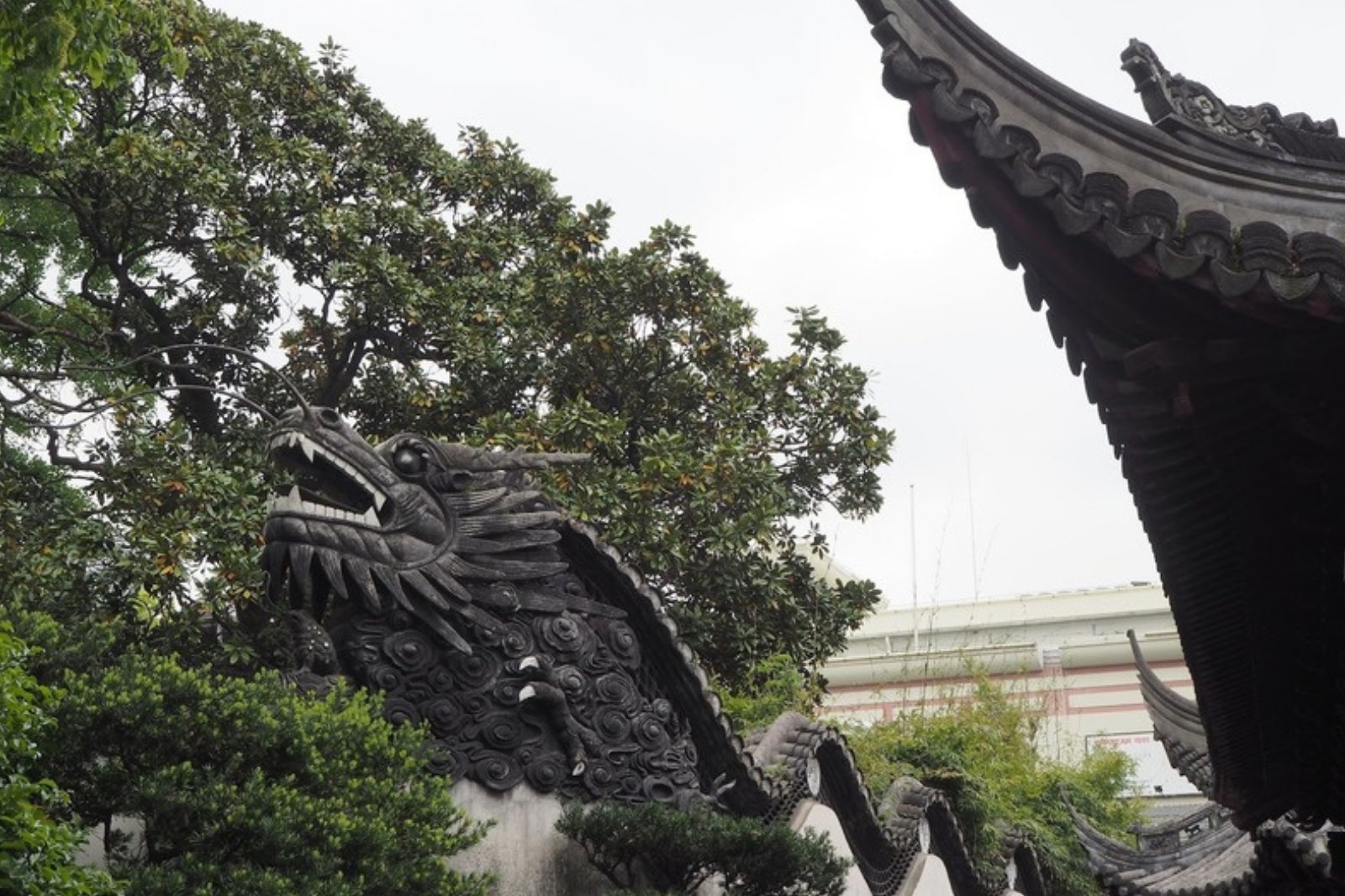 壁の上の黒い龍の彫刻と反り上がった瓦屋根