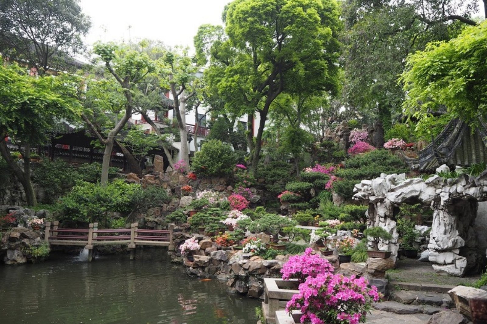 太湖石のアーチとツツジが咲く池のある中国庭園