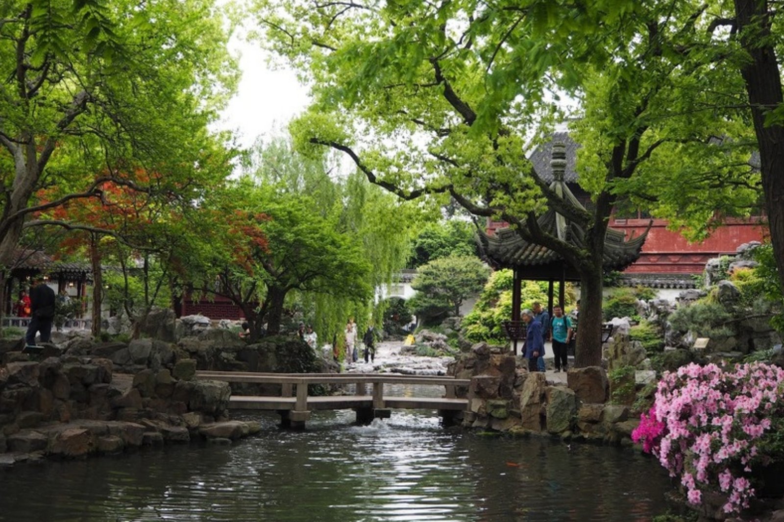 池と木橋、東屋がある新緑の中国庭園